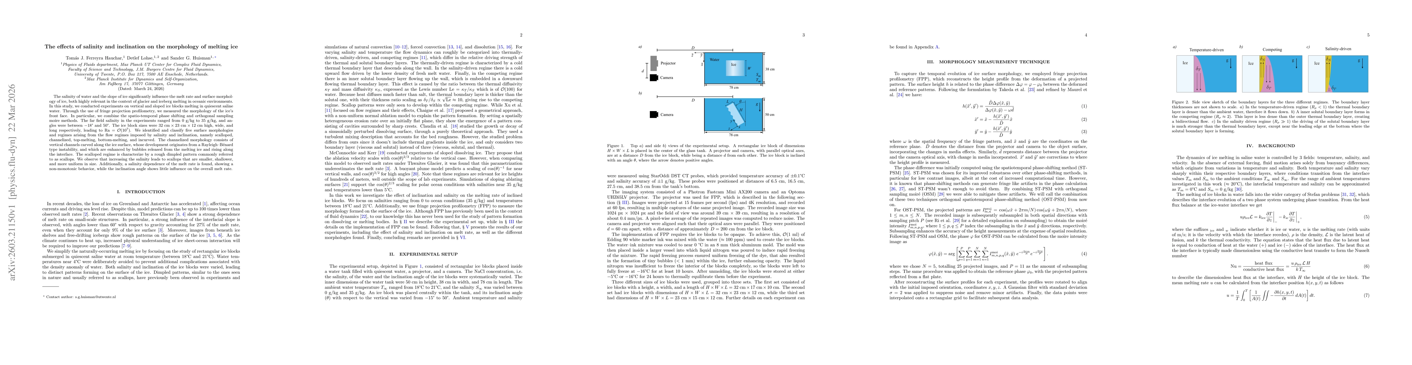 Thumbnail for The effects of salinity and inclination on the morphology of melting ice