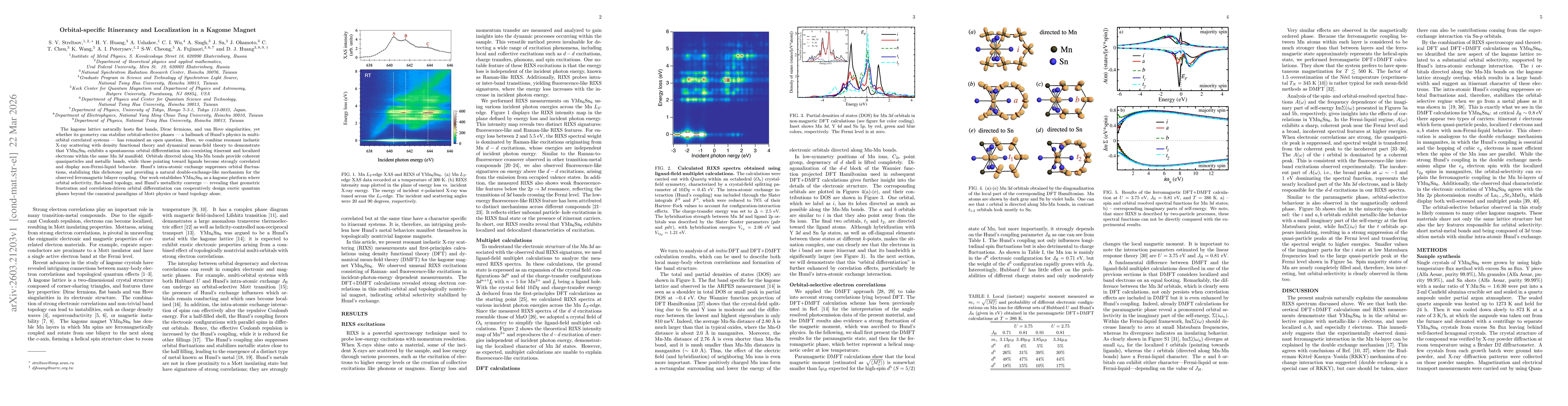 Thumbnail for Orbital-specific Itinerancy and Localization in a Kagome Magnet