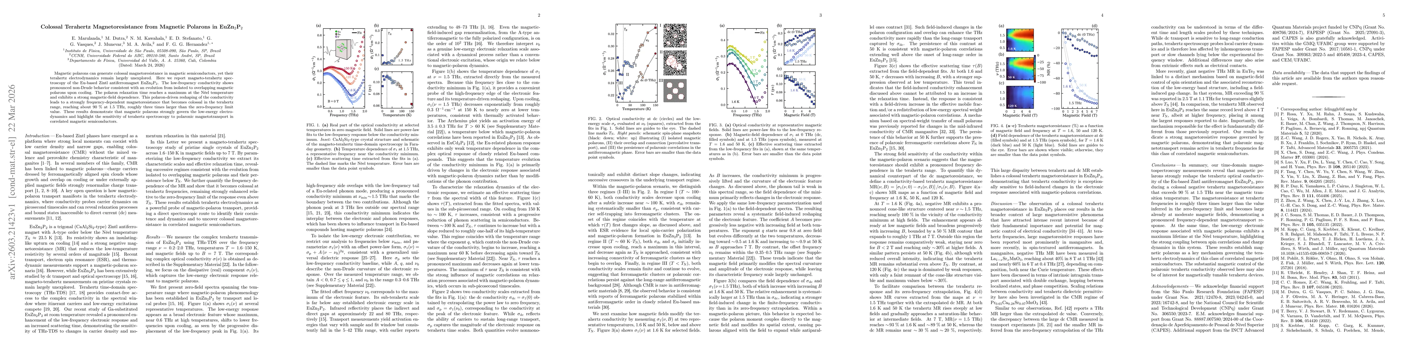 Thumbnail for Colossal Terahertz Magnetoresistance from Magnetic Polarons in EuZn$_2$P$_2$