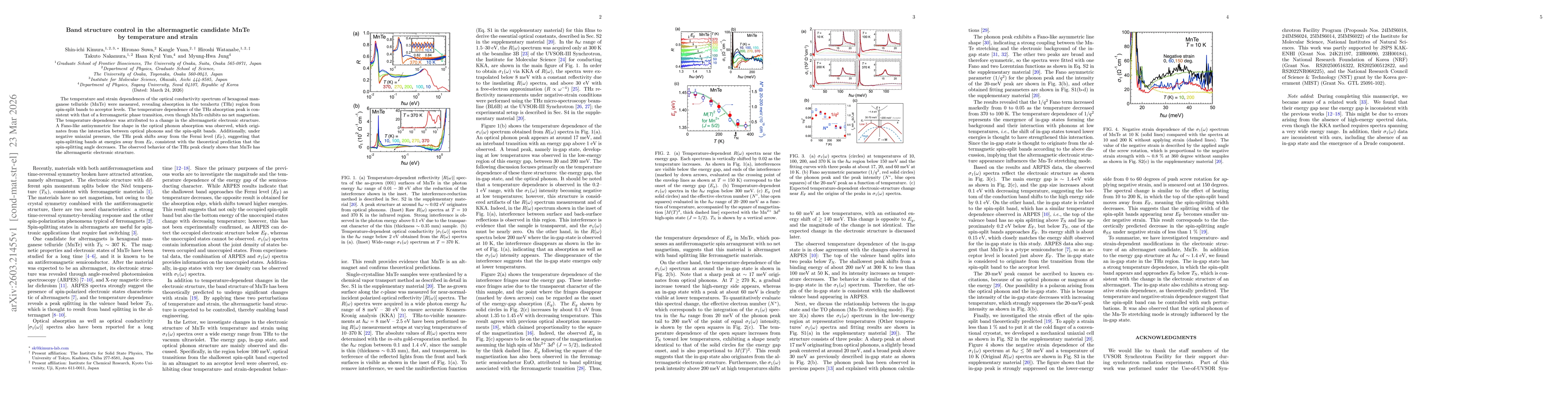 Thumbnail for Band structure control in the altermagnetic candidate MnTe by temperature and strain
