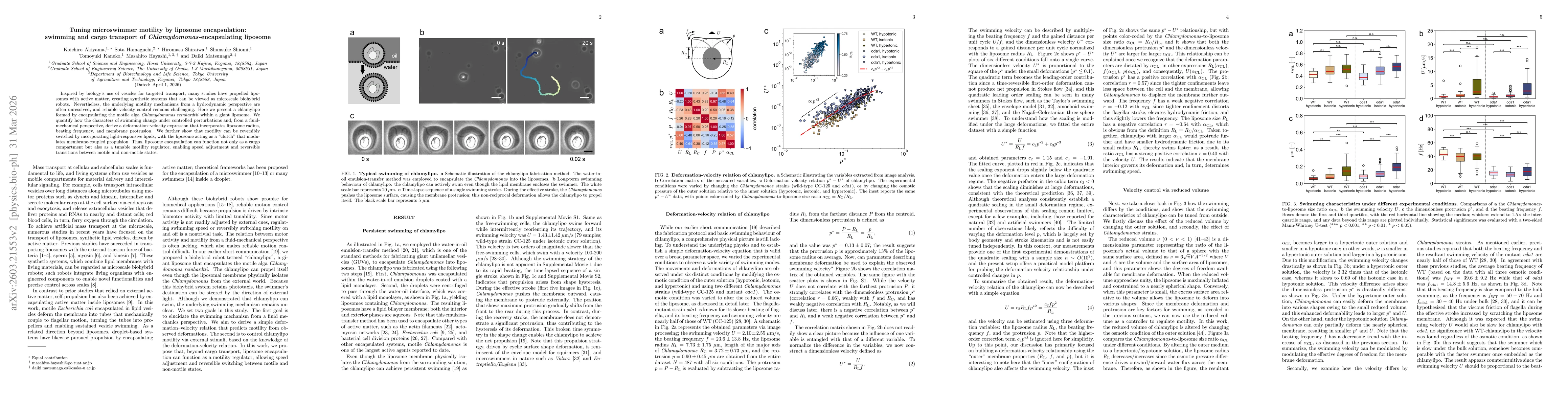 Thumbnail for Tuning microswimmer motility by liposome encapsulation: swimming and cargo transport of Chlamydomonas-encapsulating liposome
