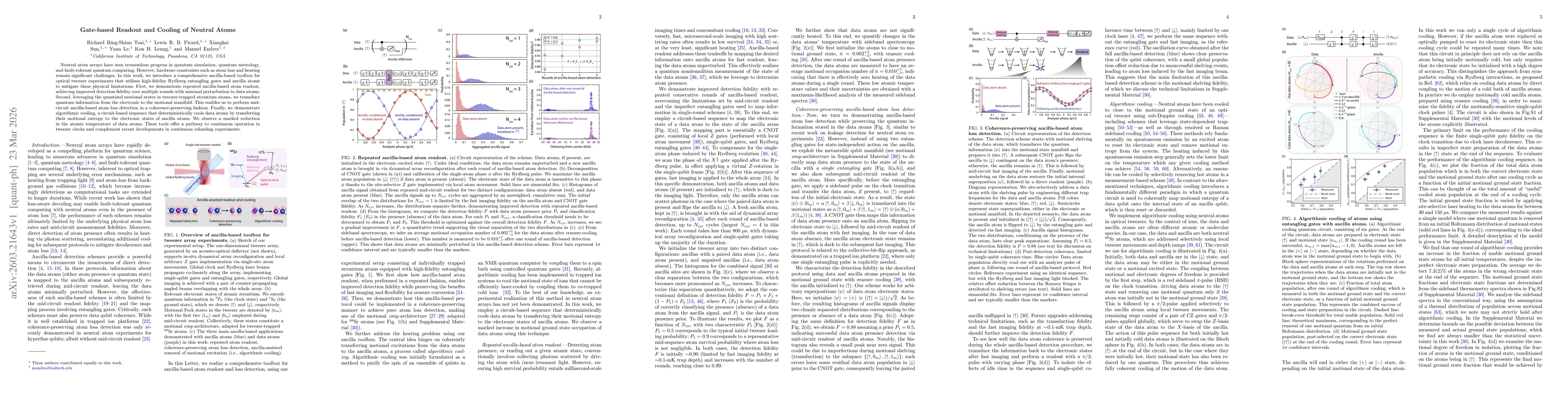Thumbnail for Gate-based Readout and Cooling of Neutral Atoms