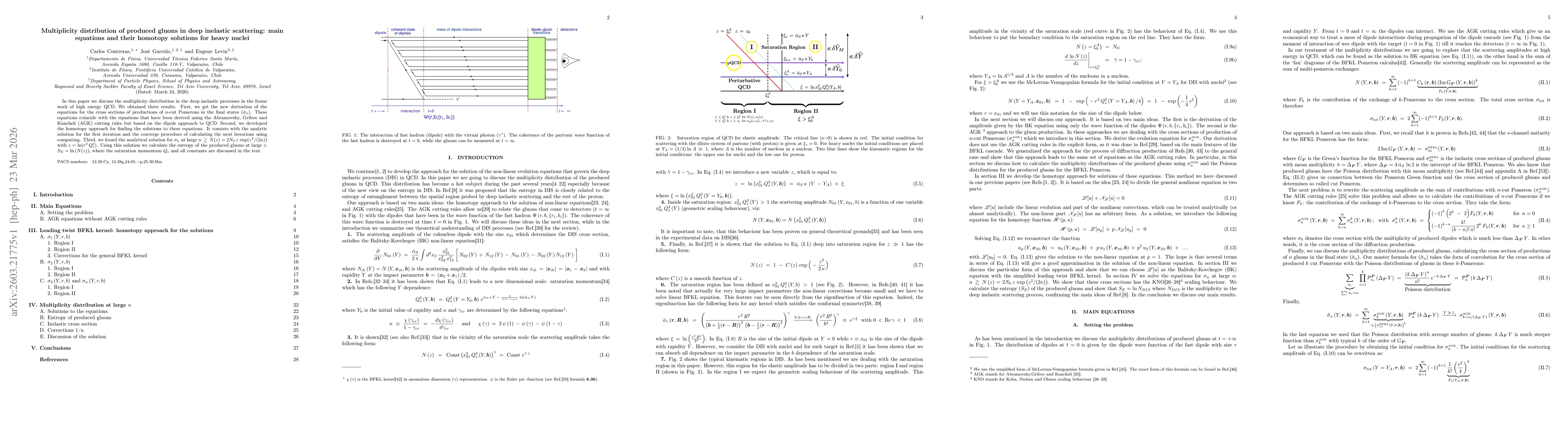 Thumbnail for Multiplicity distribution of produced gluons in deep inelastic scattering: main equations and their homotopy solutions for heavy nuclei
