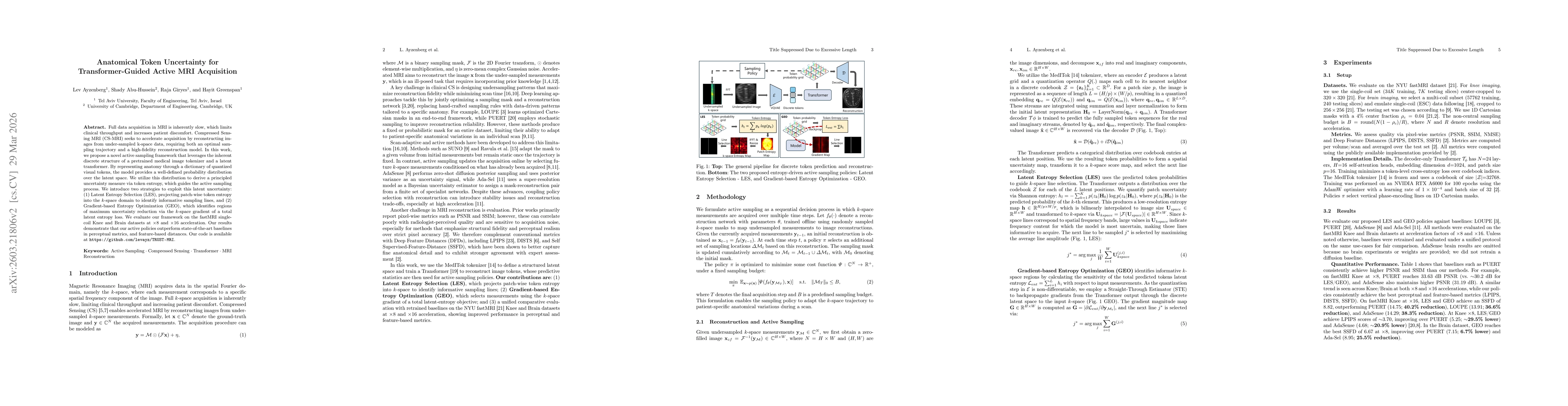 Thumbnail for Anatomical Token Uncertainty for Transformer-Guided Active MRI Acquisition