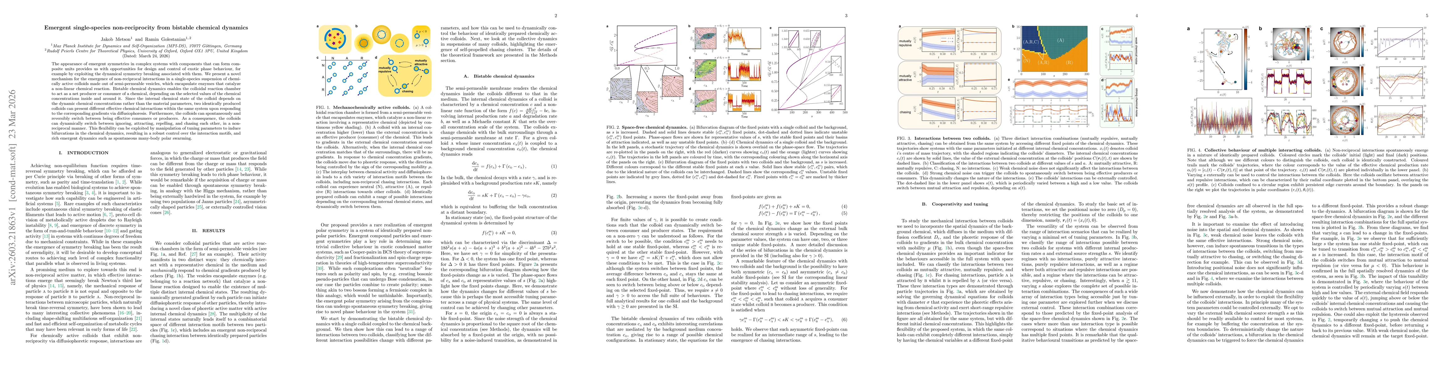 Thumbnail for Emergent single-species non-reciprocity from bistable chemical dynamics