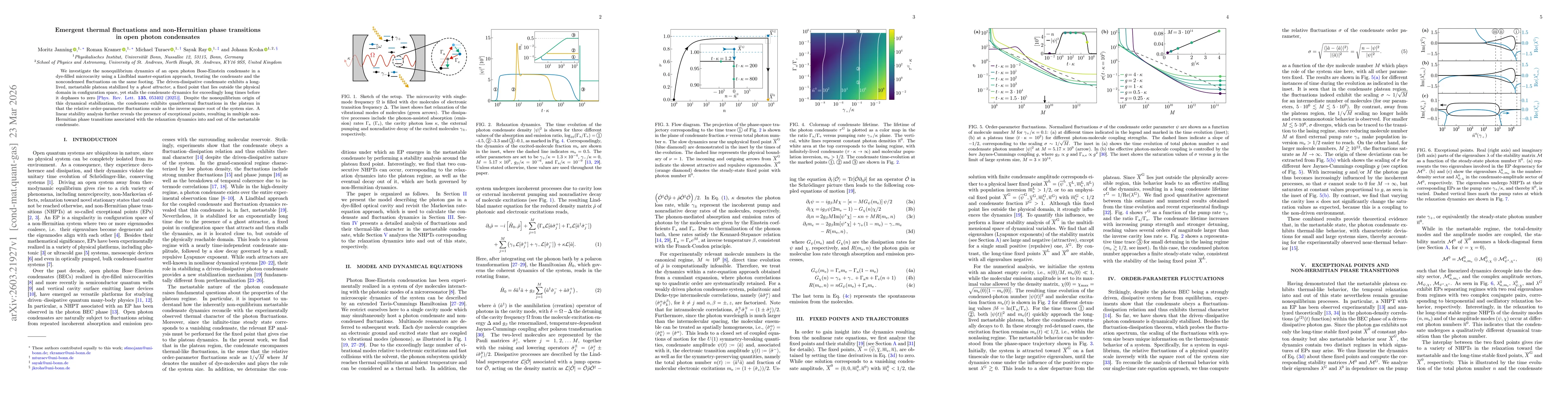 Thumbnail for Emergent thermal fluctuations and non-Hermitian phase transitions in open photon condensates
