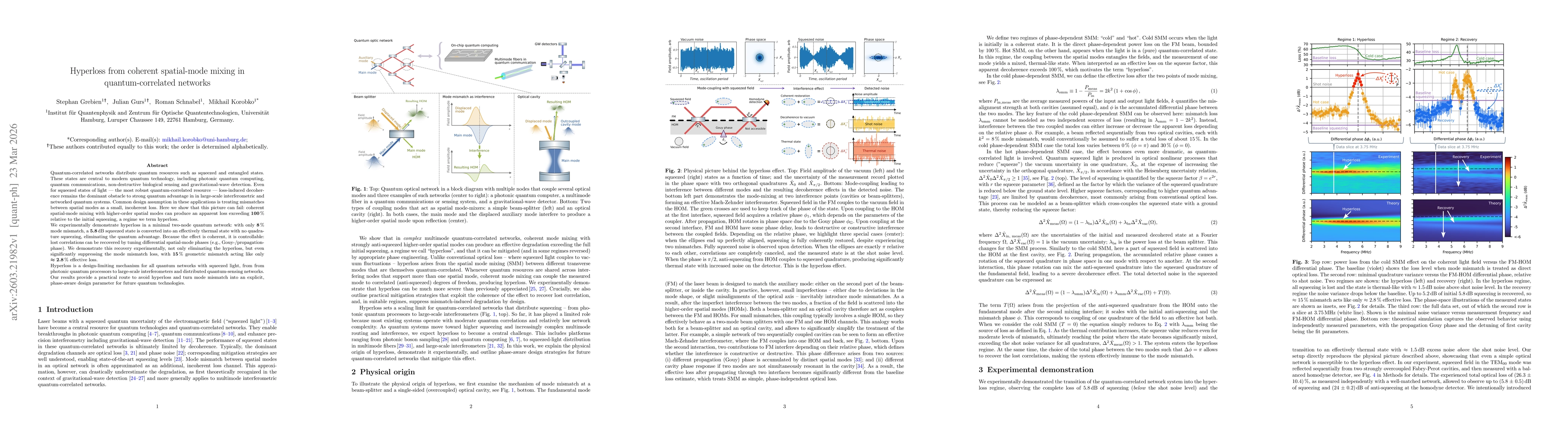 Thumbnail for Hyperloss from coherent spatial-mode mixing in quantum-correlated networks