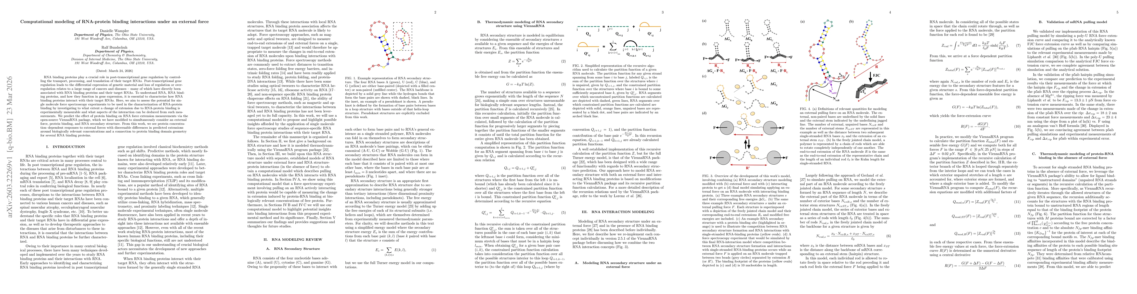 Thumbnail for Computational modeling of RNA-protein binding interactions under an external force
