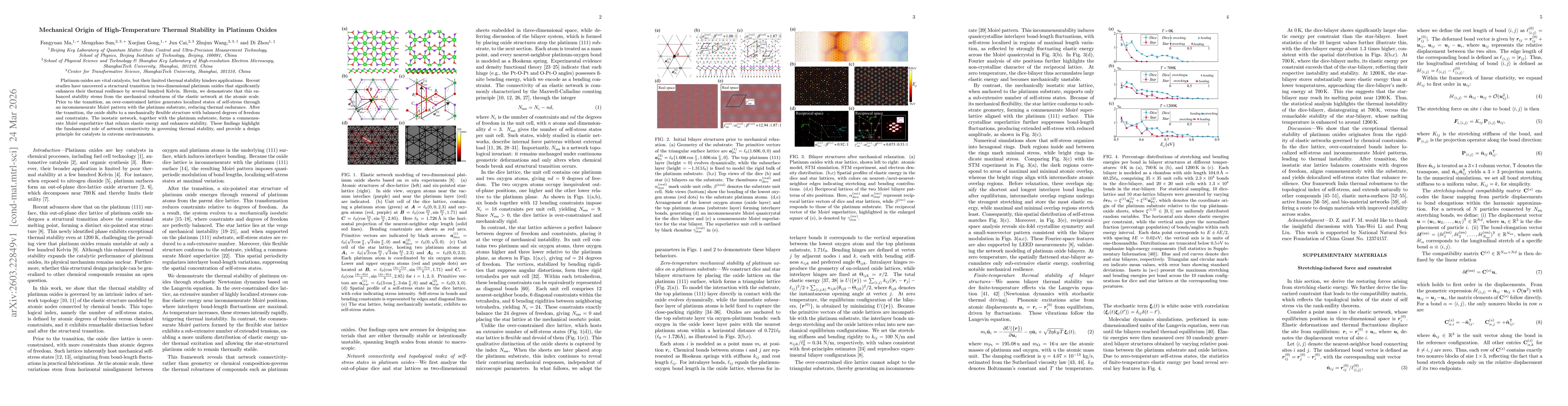 Thumbnail for Mechanical Origin of High-Temperature Thermal Stability in Platinum Oxides