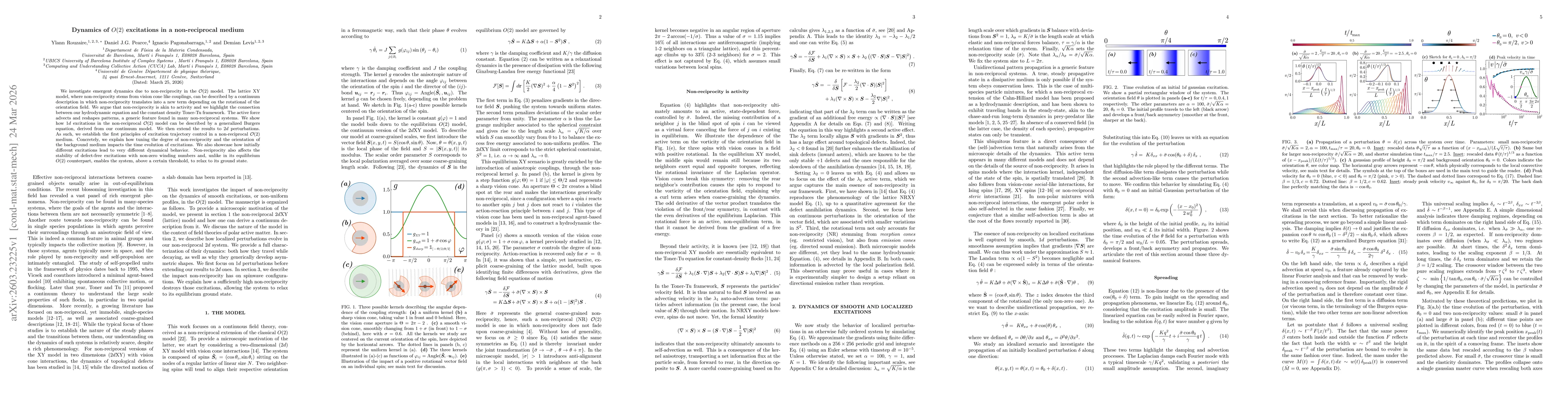 Thumbnail for Dynamics of O(2) excitations in a non-reciprocal medium