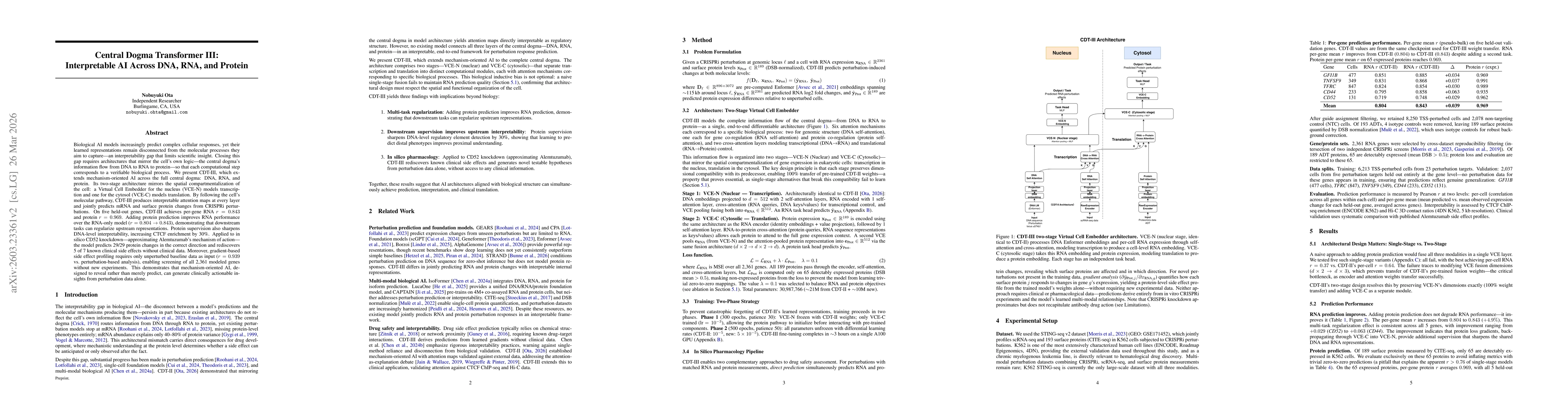 Thumbnail for Central Dogma Transformer III: Interpretable AI Across DNA, RNA, and Protein