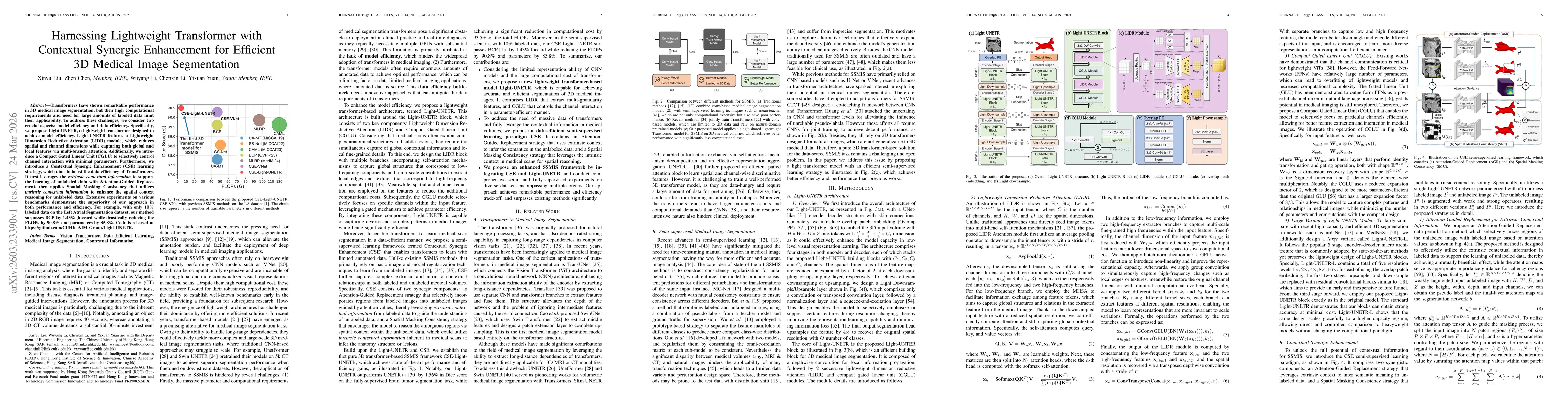 Thumbnail for Harnessing Lightweight Transformer with Contextual Synergic Enhancement for Efficient 3D Medical Image Segmentation