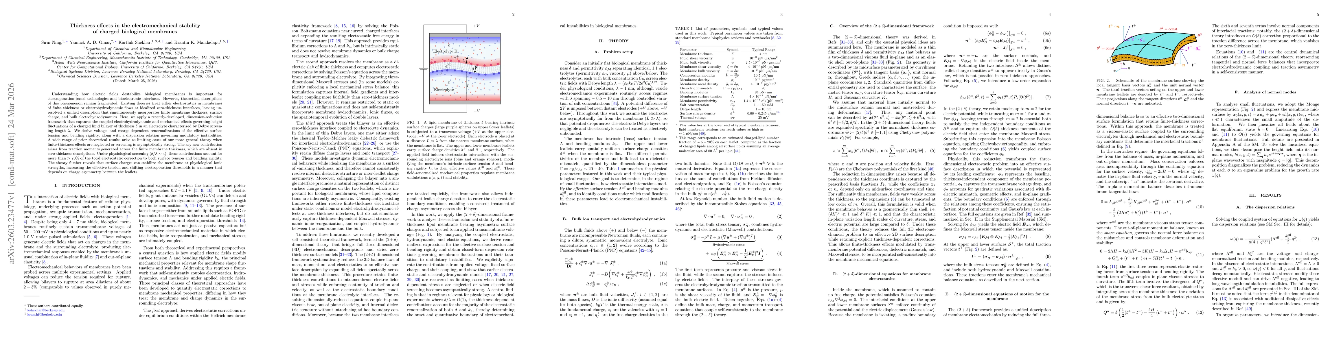 Thumbnail for Thickness effects in the electromechanical stability of charged biological membranes