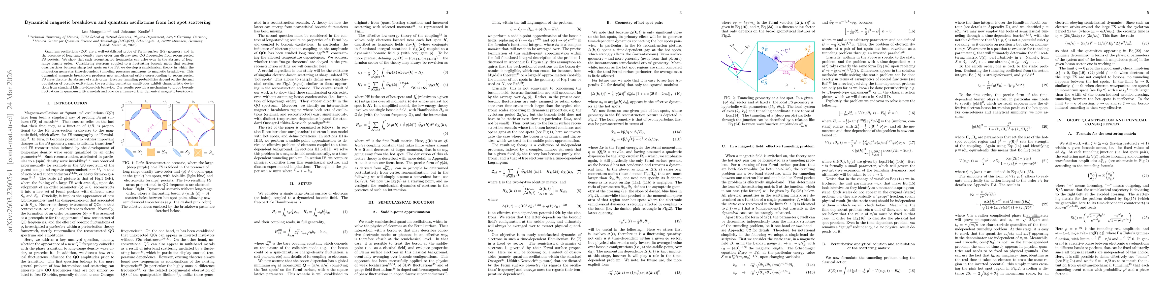 Thumbnail for Dynamical magnetic breakdown and quantum oscillations from hot spot scattering