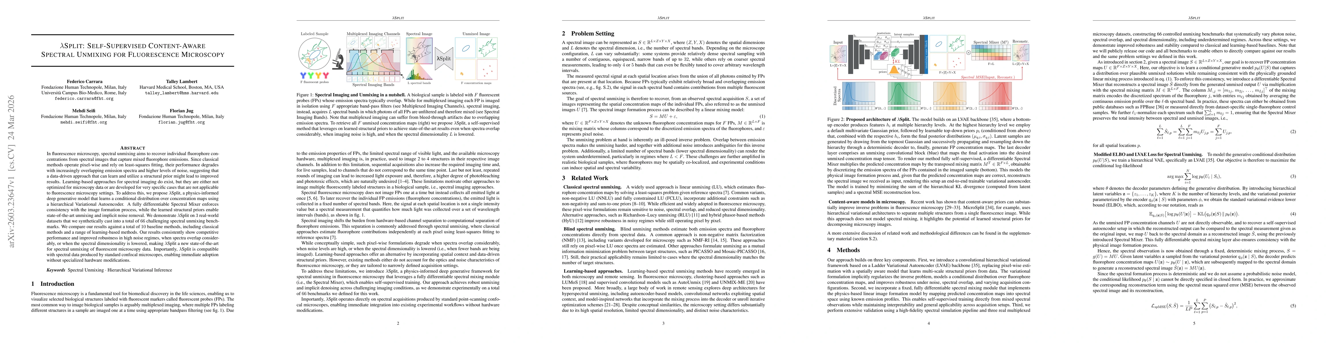 Thumbnail for λSplit: Self-Supervised Content-Aware Spectral Unmixing for Fluorescence Microscopy
