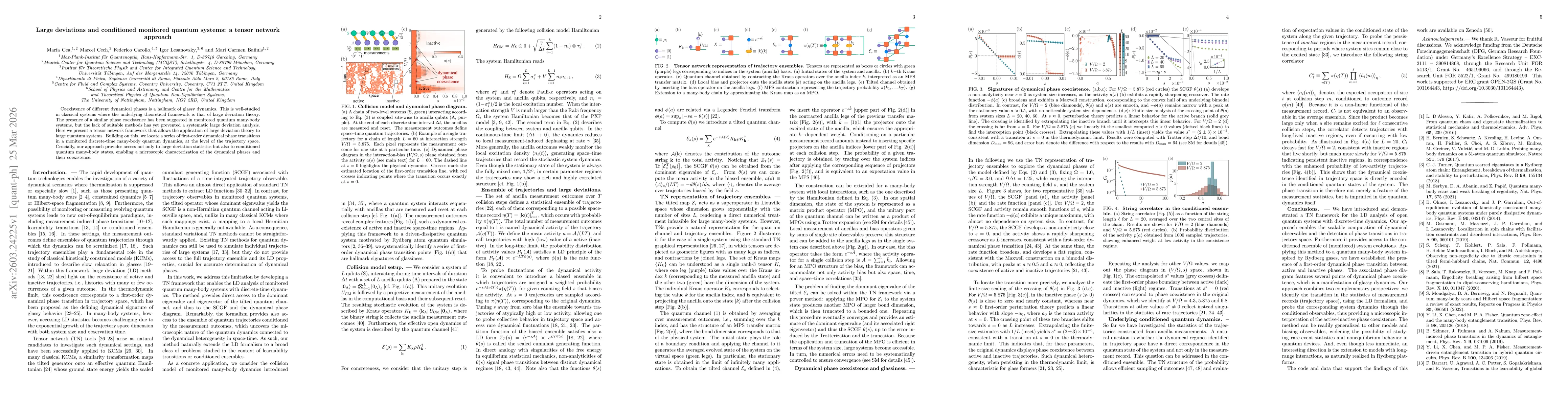 Thumbnail for Large deviations and conditioned monitored quantum systems: a tensor network approach