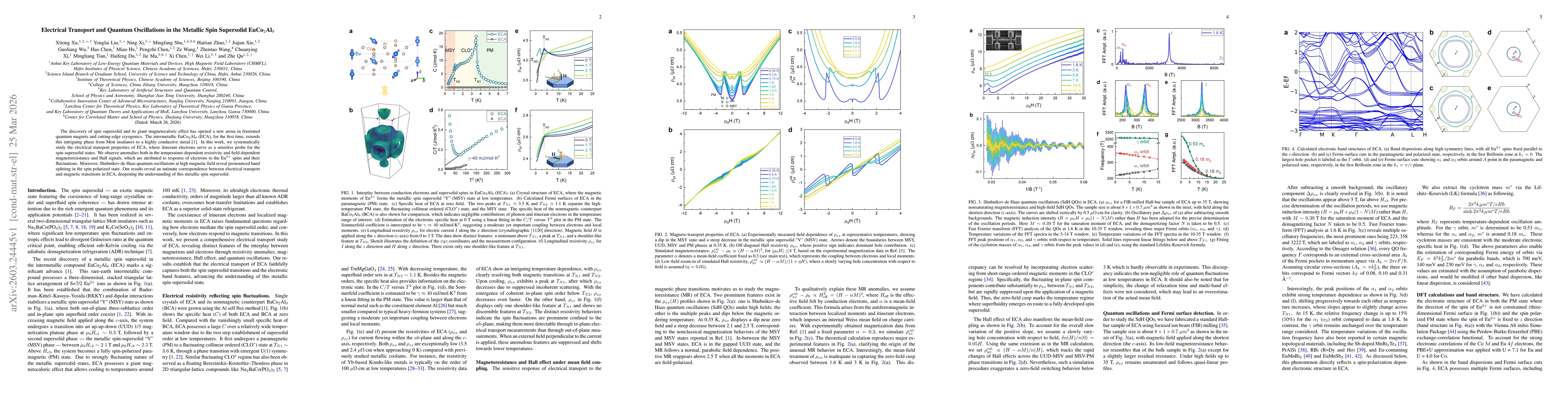 Thumbnail for Electrical Transport and Quantum Oscillations in the Metallic Spin Supersolid EuCo2Al9