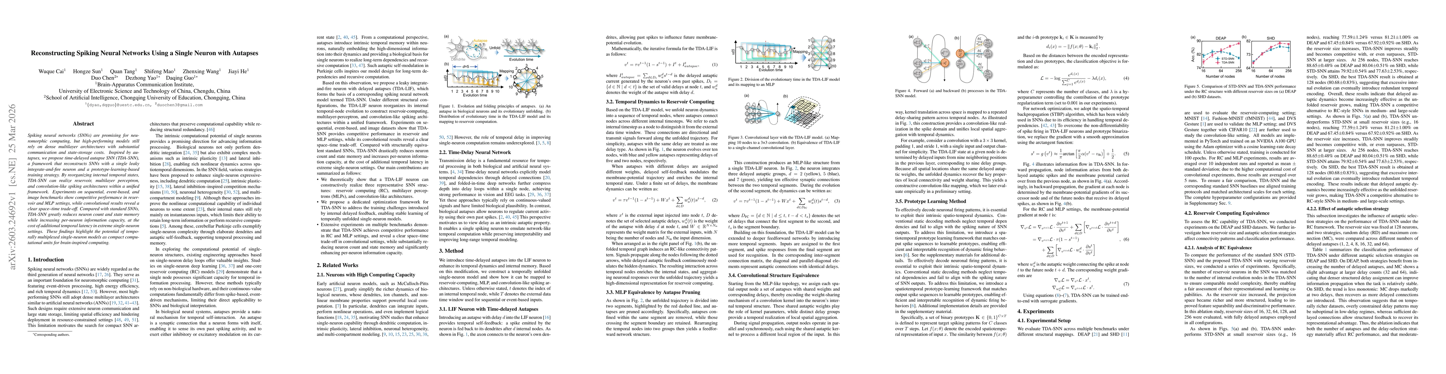 Thumbnail for Reconstructing Spiking Neural Networks Using a Single Neuron with Autapses