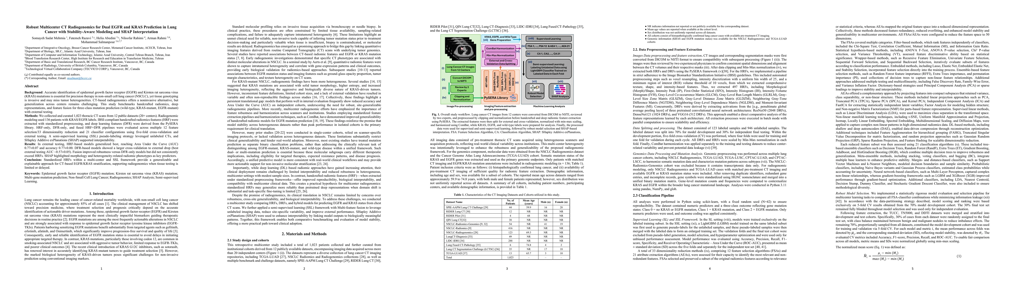 Thumbnail for Robust Multicenter CT Radiogenomics for Dual EGFR and KRAS Prediction in Lung Cancer with Stability-Aware Modeling and SHAP Interpretation