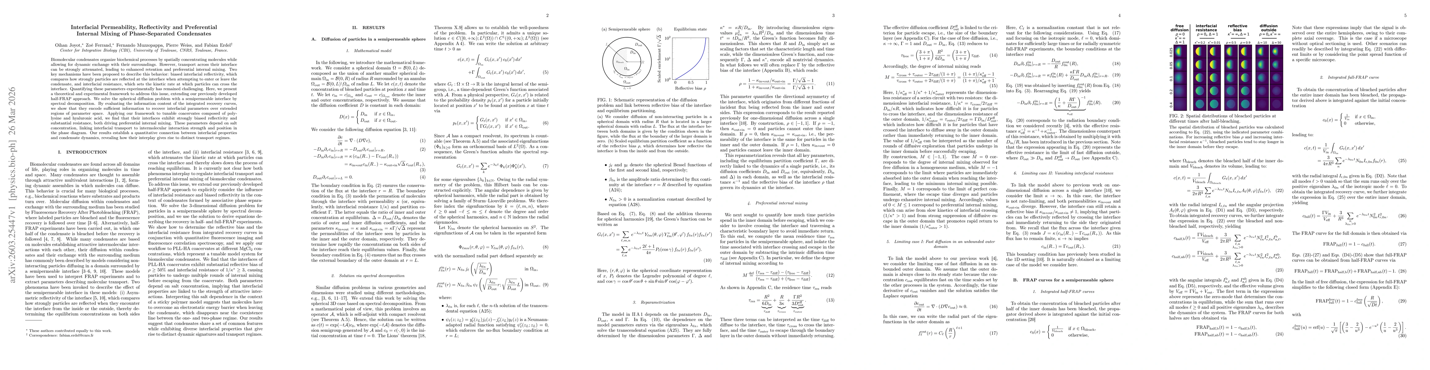 Thumbnail for Interfacial Permeability, Reflectivity and Preferential Internal Mixing of Phase-Separated Condensates