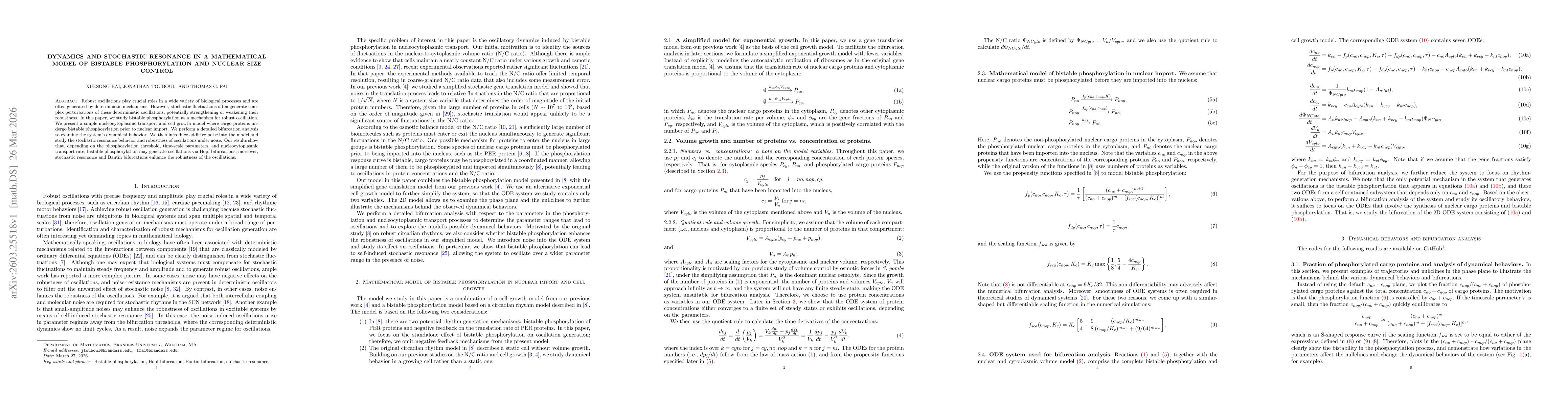 Thumbnail for Dynamics and stochastic resonance in a mathematical model of bistable phosphorylation and nuclear size control