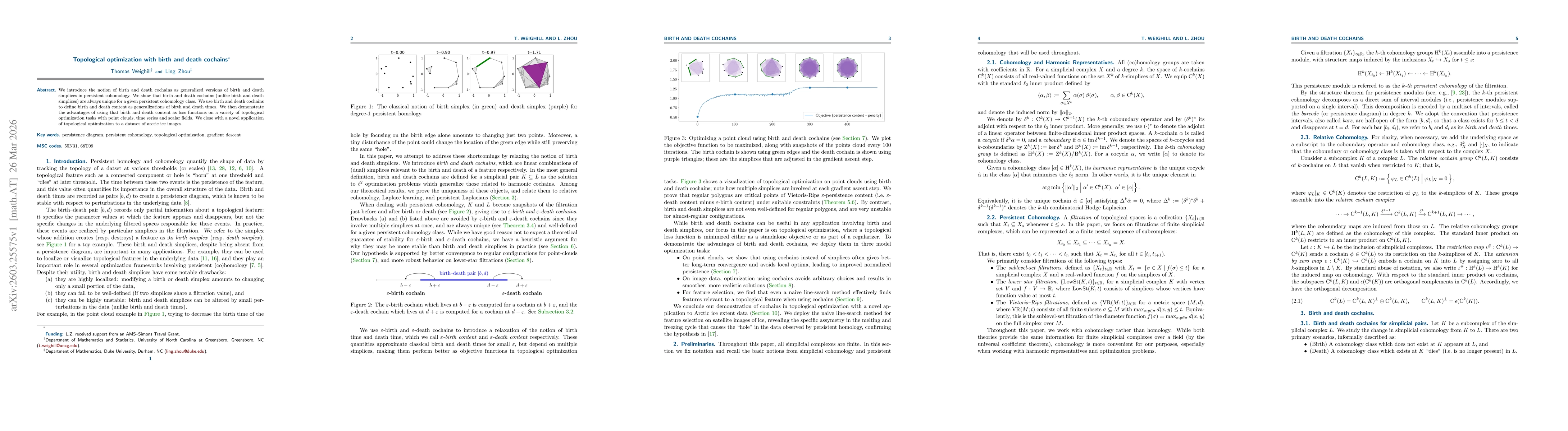 Thumbnail for Topological optimization with birth and death cochains