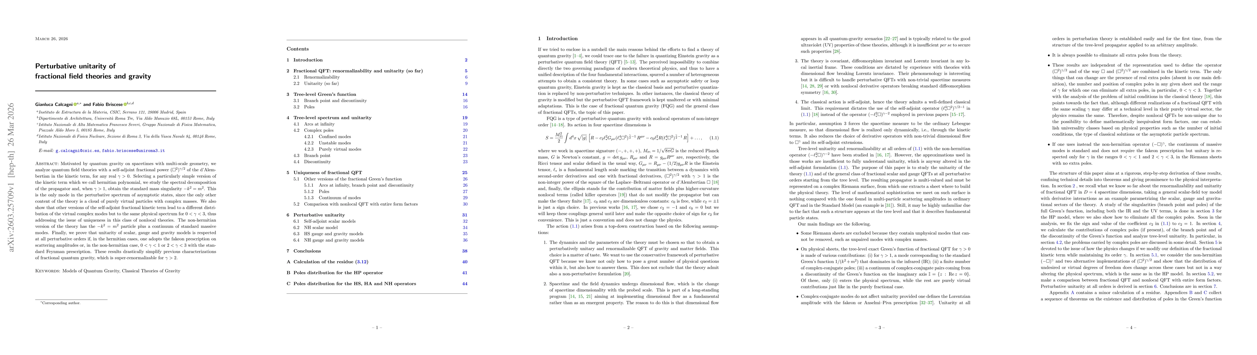 Thumbnail for Perturbative unitarity of fractional field theories and gravity