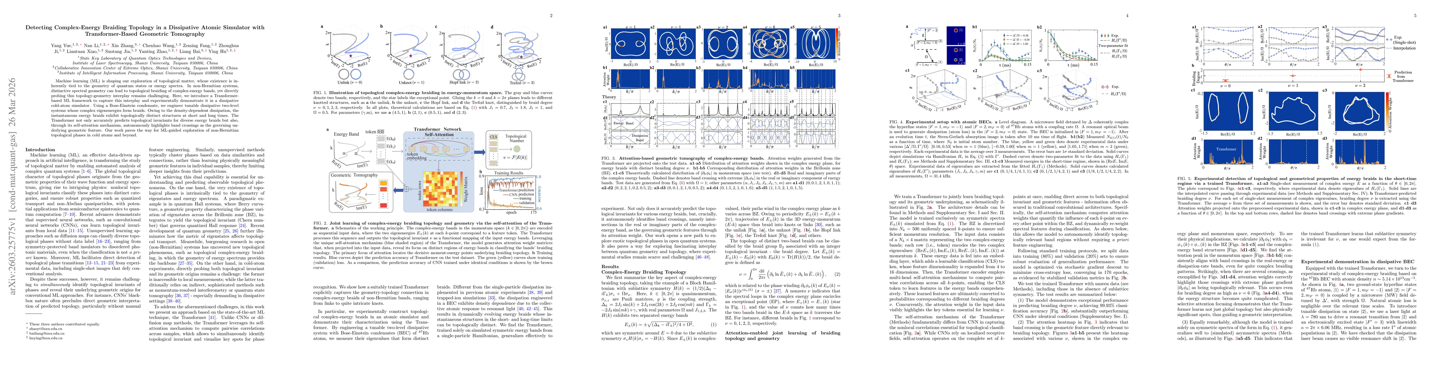 Thumbnail for Detecting Complex-Energy Braiding Topology in a Dissipative Atomic Simulator with Transformer-Based Geometric Tomography