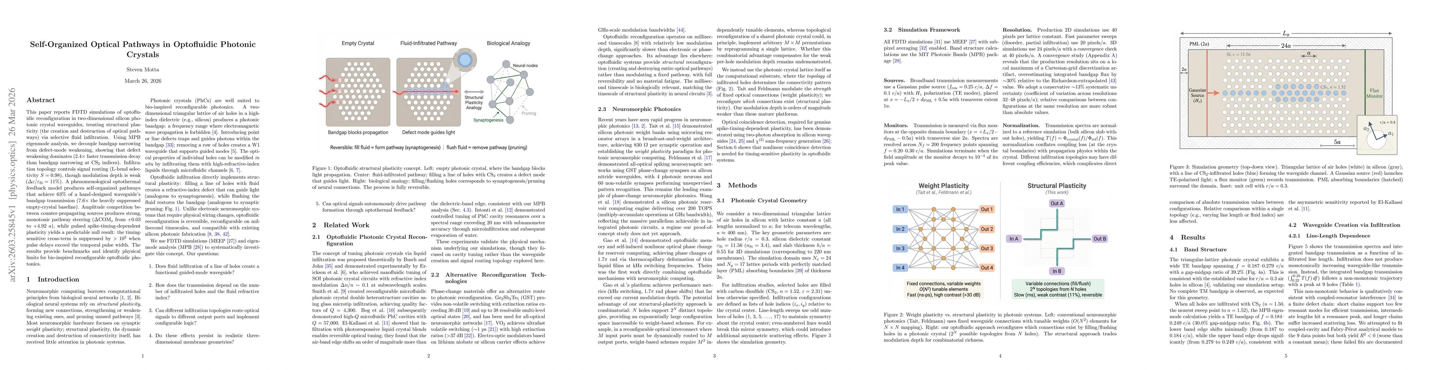 Thumbnail for Self-Organized Optical Pathways in Optofluidic Photonic Crystals