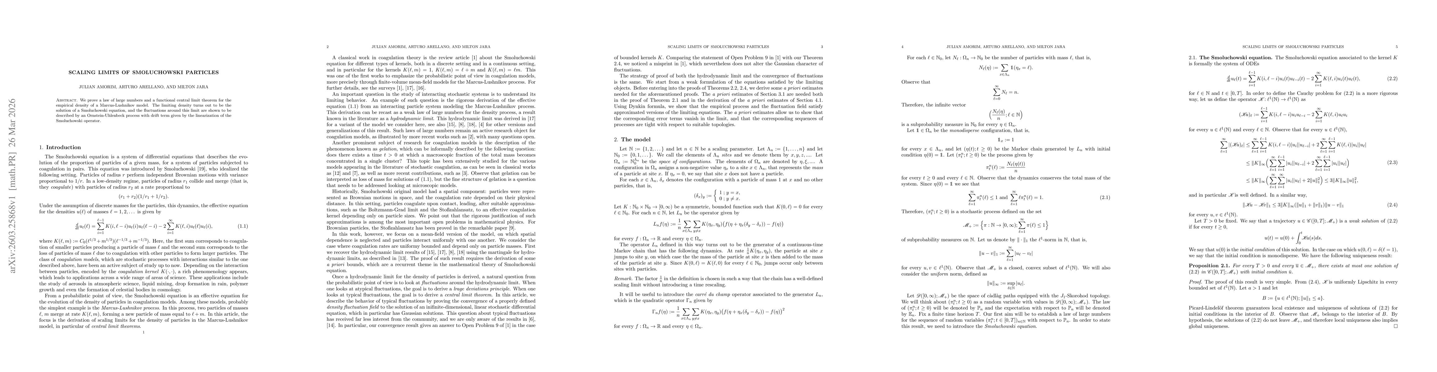 Thumbnail for Scaling limits of Smoluchowski particles
