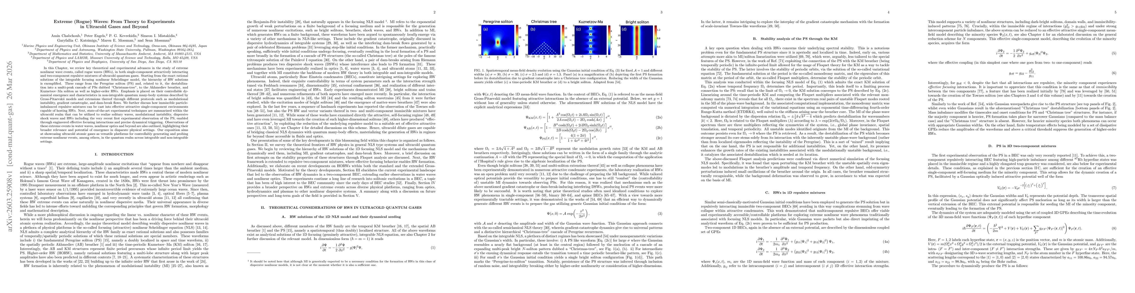 Thumbnail for Extreme (Rogue) Waves: From Theory to Experiments in Ultracold Gases and Beyond