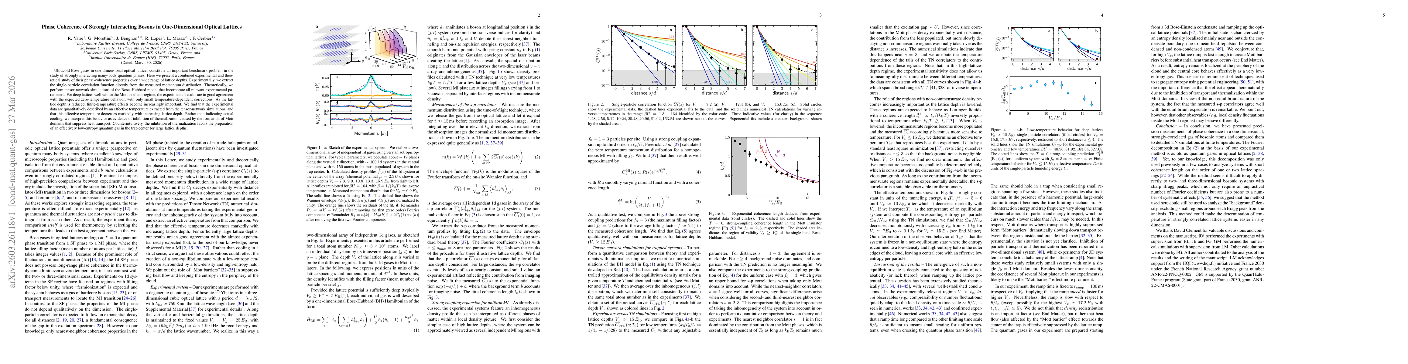 Thumbnail for Phase Coherence of Strongly Interacting Bosons in One-Dimensional Optical Lattices