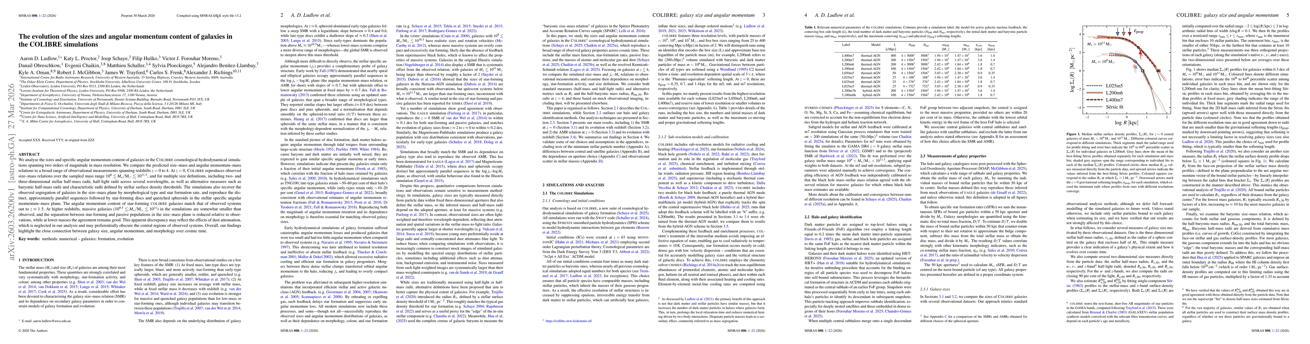 Thumbnail for The evolution of the sizes and angular momentum content of galaxies in the COLIBRE simulations