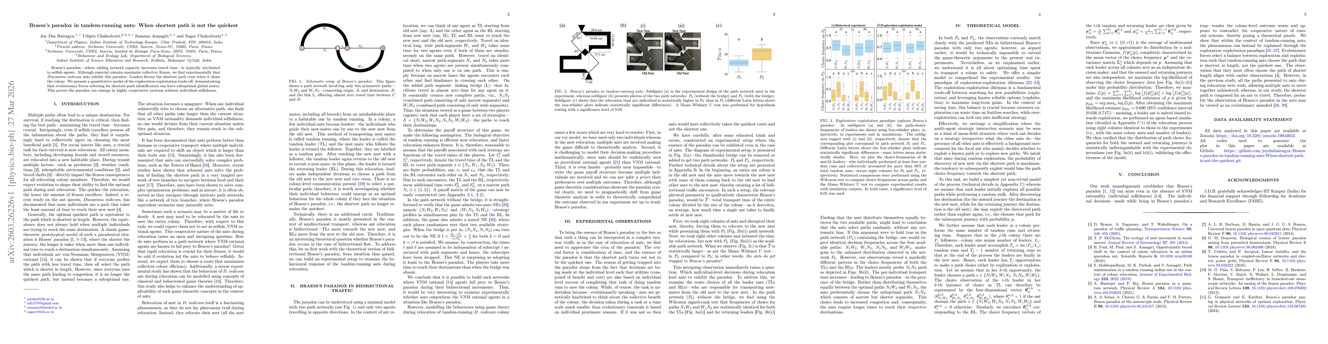 Thumbnail for Braess's paradox in tandem-running ants: When shortest path is not the quickest