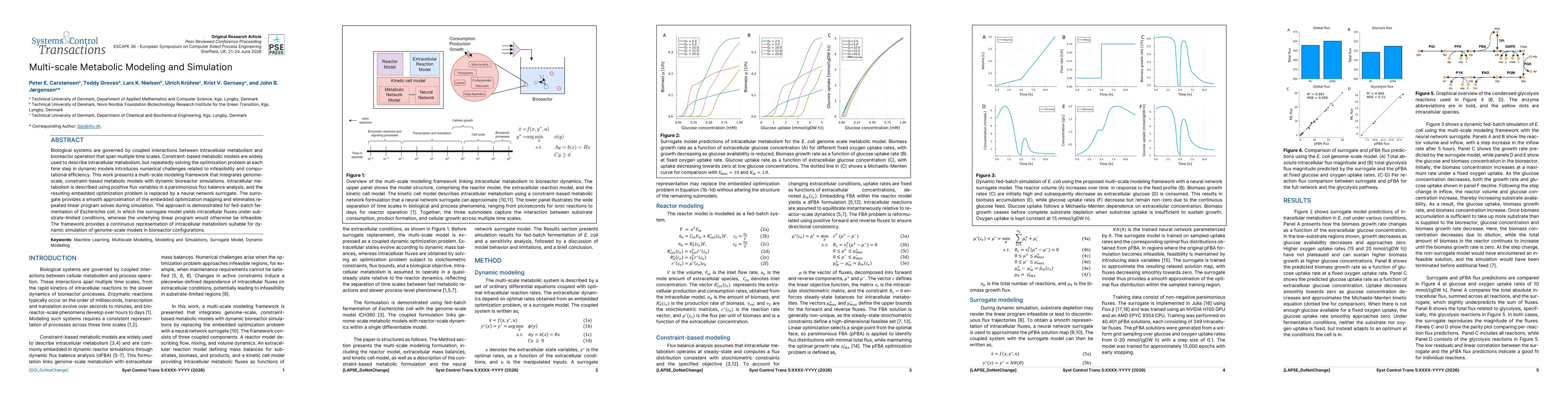Thumbnail for Multi-scale Metabolic Modeling and Simulation