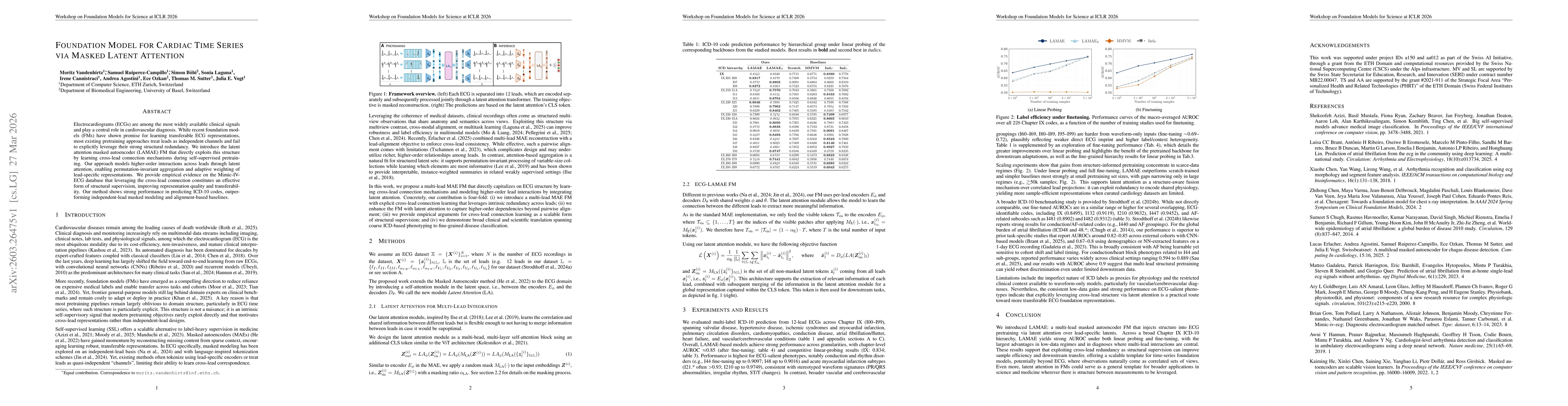 Thumbnail for Foundation Model for Cardiac Time Series via Masked Latent Attention