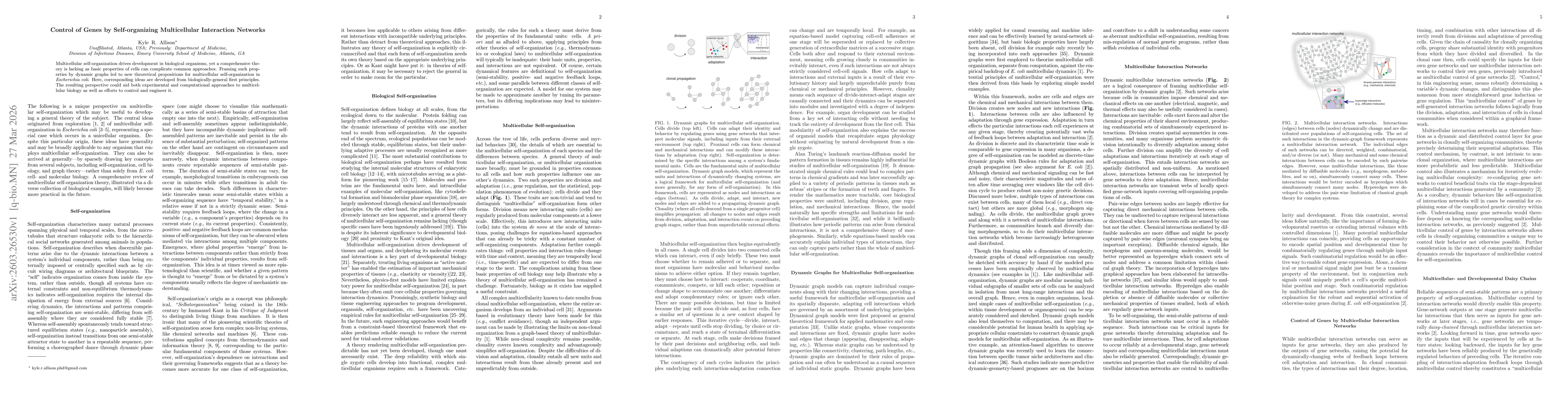 Thumbnail for Control of genes by self-organizing multicellular interaction networks