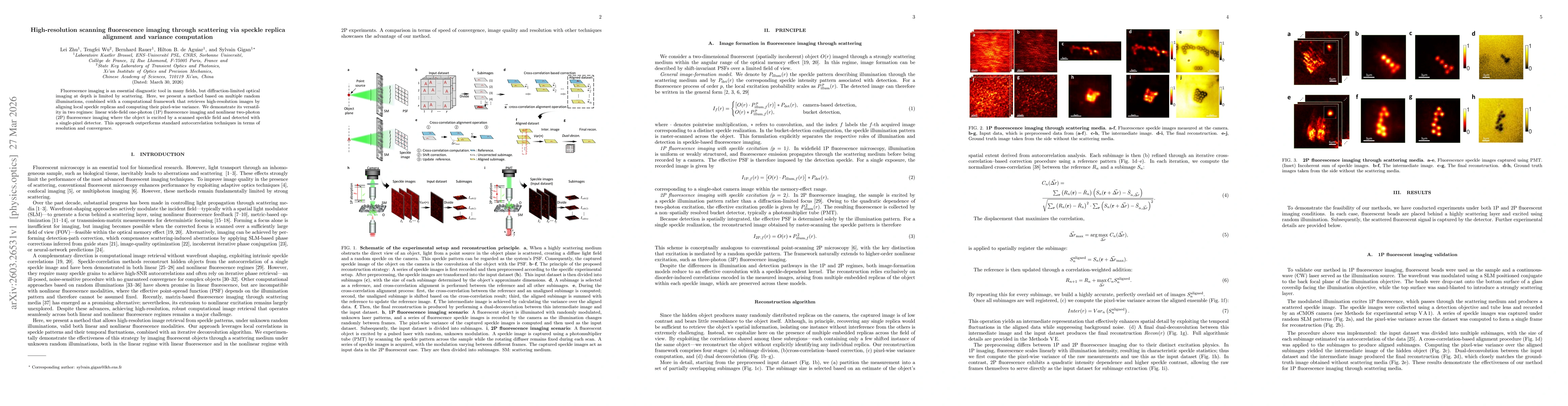 Thumbnail for High-resolution scanning fluorescence imaging through scattering via speckle replica alignment and variance computation