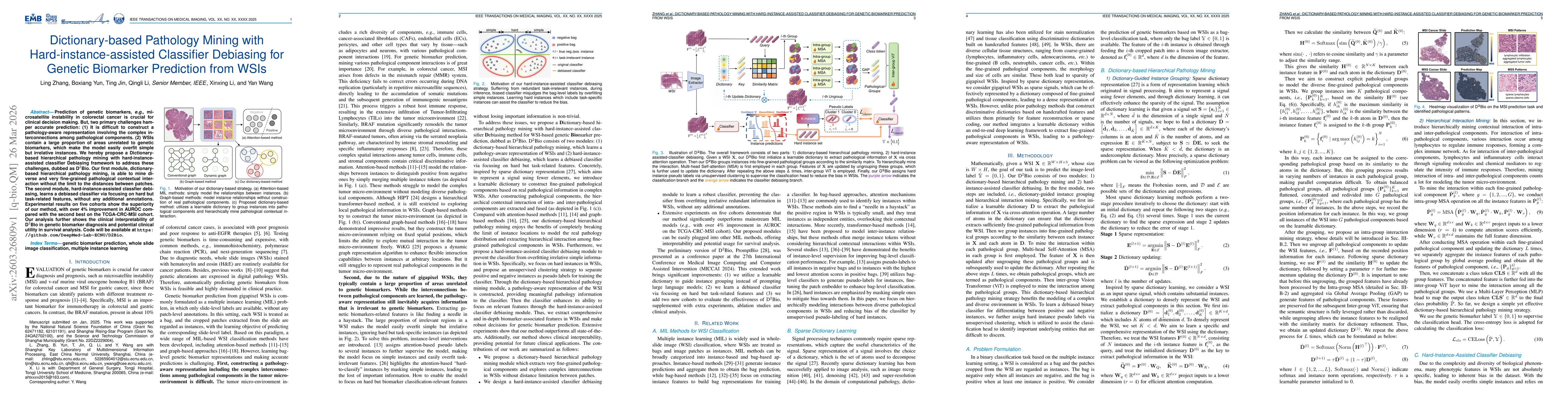Thumbnail for Dictionary-based Pathology Mining with Hard-instance-assisted Classifier Debiasing for Genetic Biomarker Prediction from WSIs