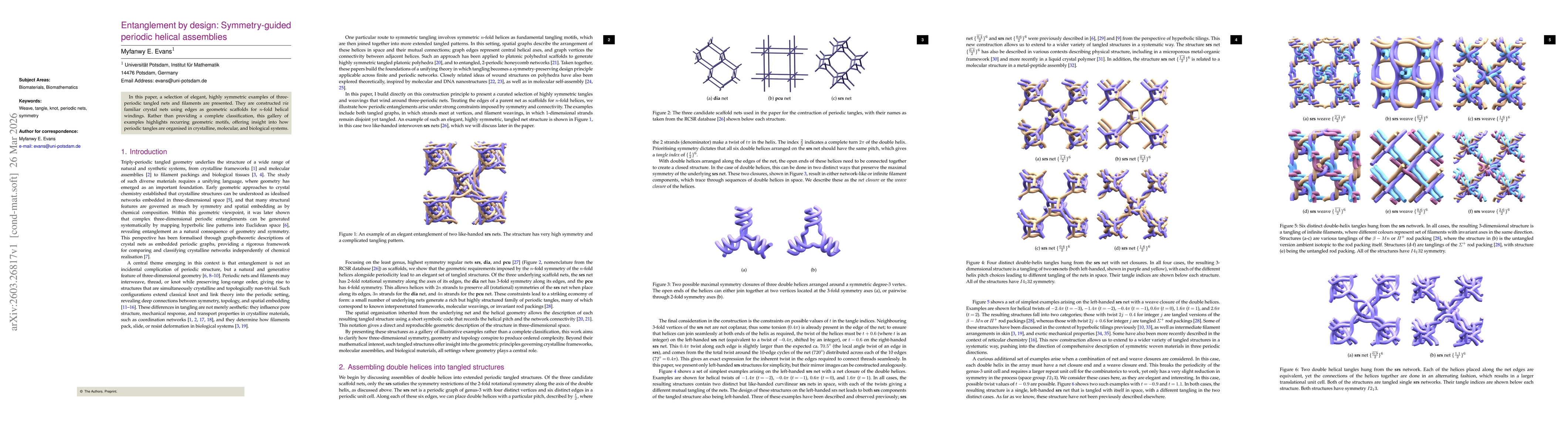 Thumbnail for Entanglement by design: Symmetry-guided periodic helical assemblies