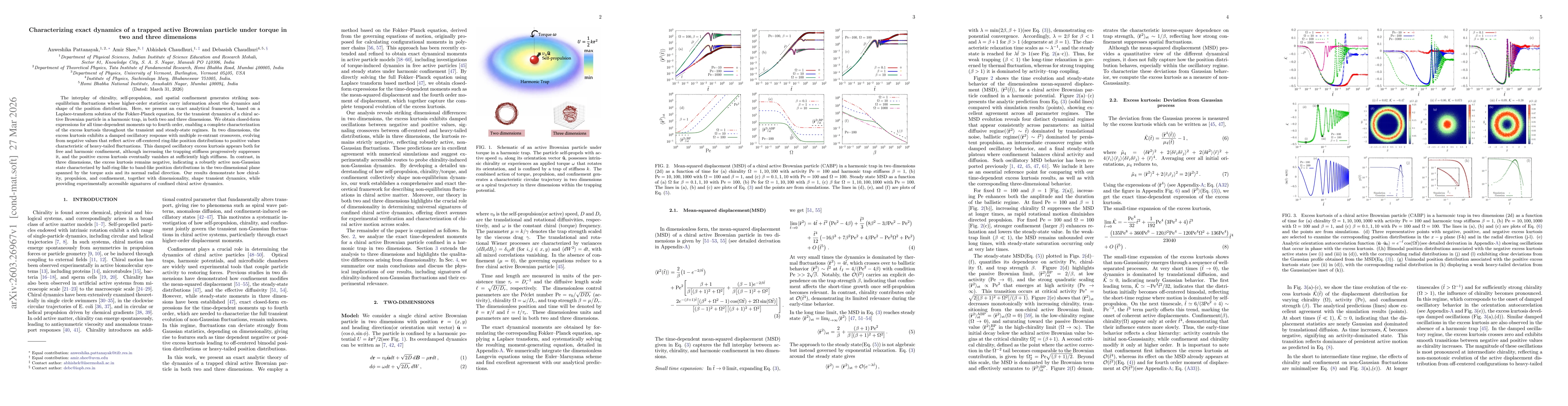 Thumbnail for Characterizing exact dynamics of a trapped active Brownian particle under torque in two and three dimensions