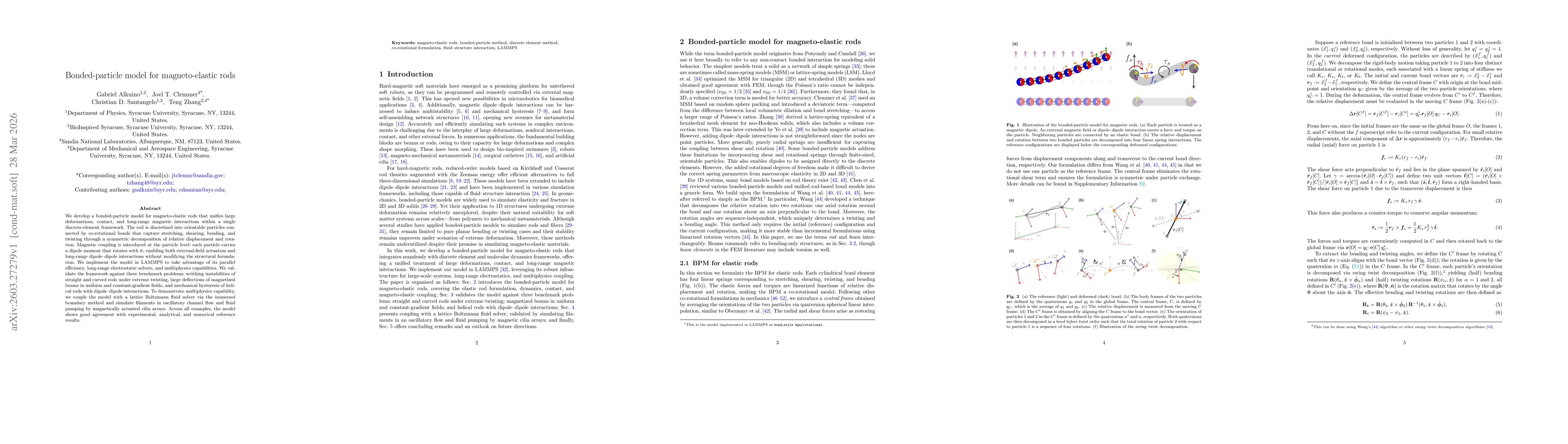 Thumbnail for Bonded-particle model for magneto-elastic rods