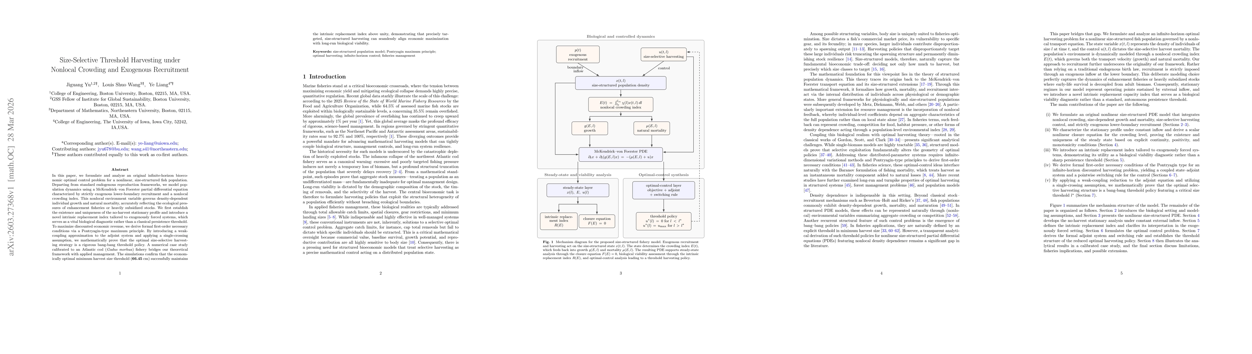 Thumbnail for Size-Selective Threshold Harvesting under Nonlocal Crowding and Exogenous Recruitment