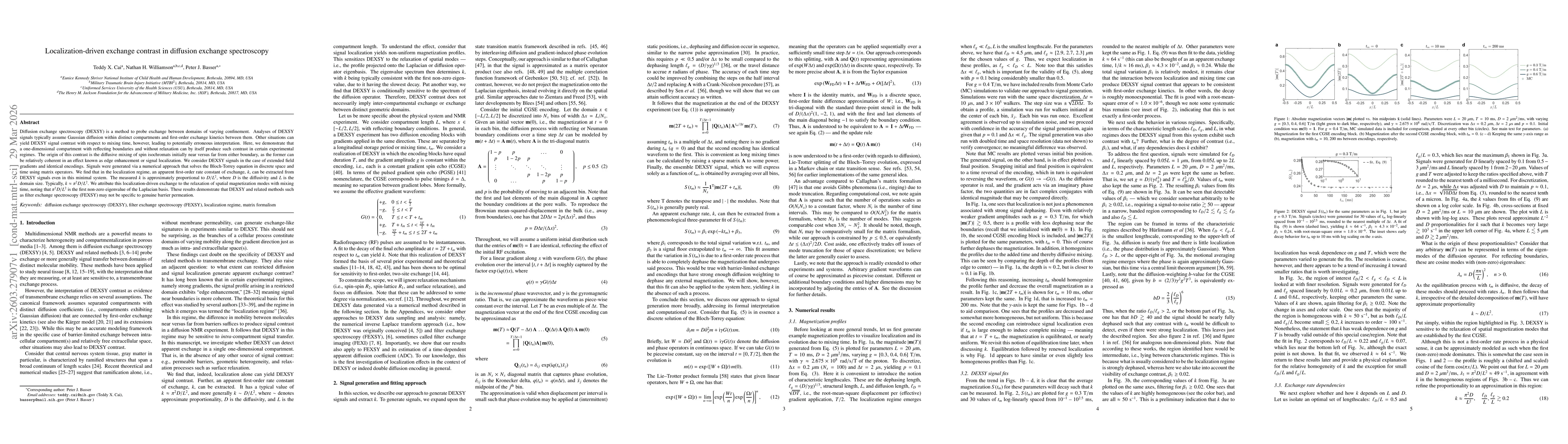 Thumbnail for Localization-driven exchange contrast in diffusion exchange spectroscopy