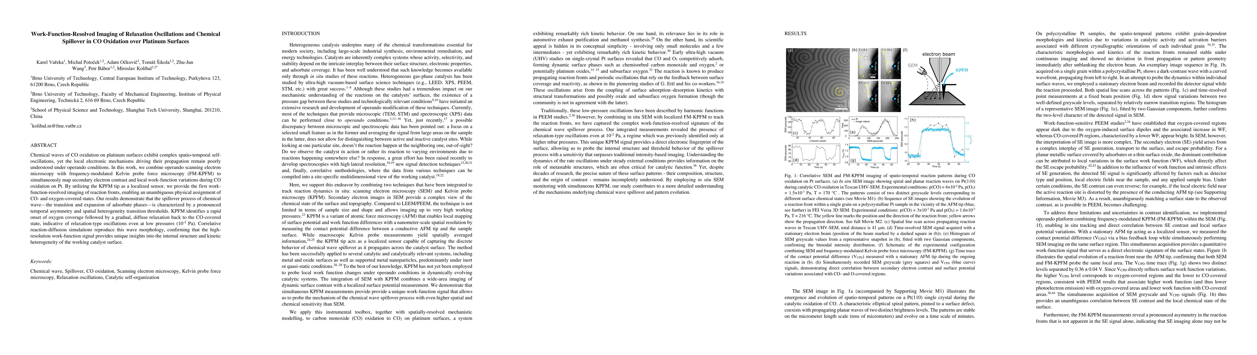 Thumbnail for Work-Function-Resolved Imaging of Relaxation Oscillations and Chemical Spillover in CO Oxidation over Platinum Surfaces