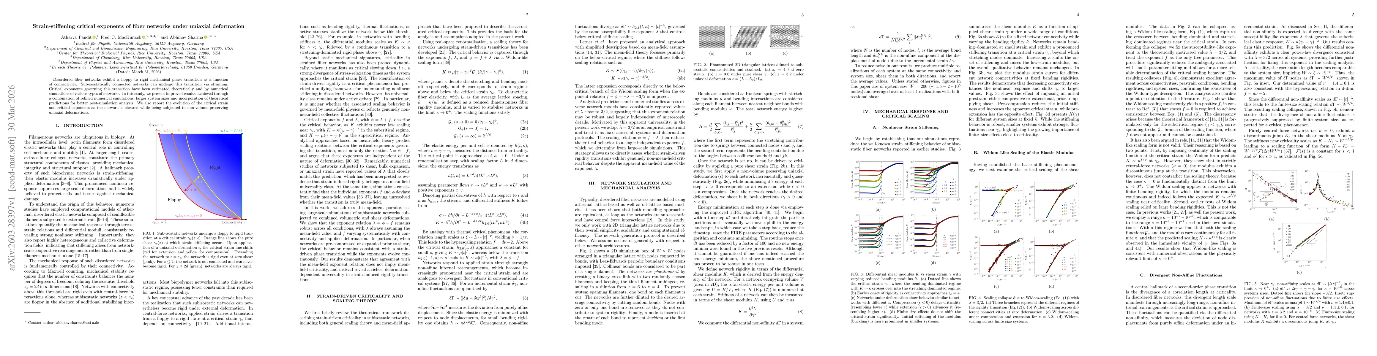 Thumbnail for Strain-stiffening critical exponents of fiber networks under uniaxial deformation