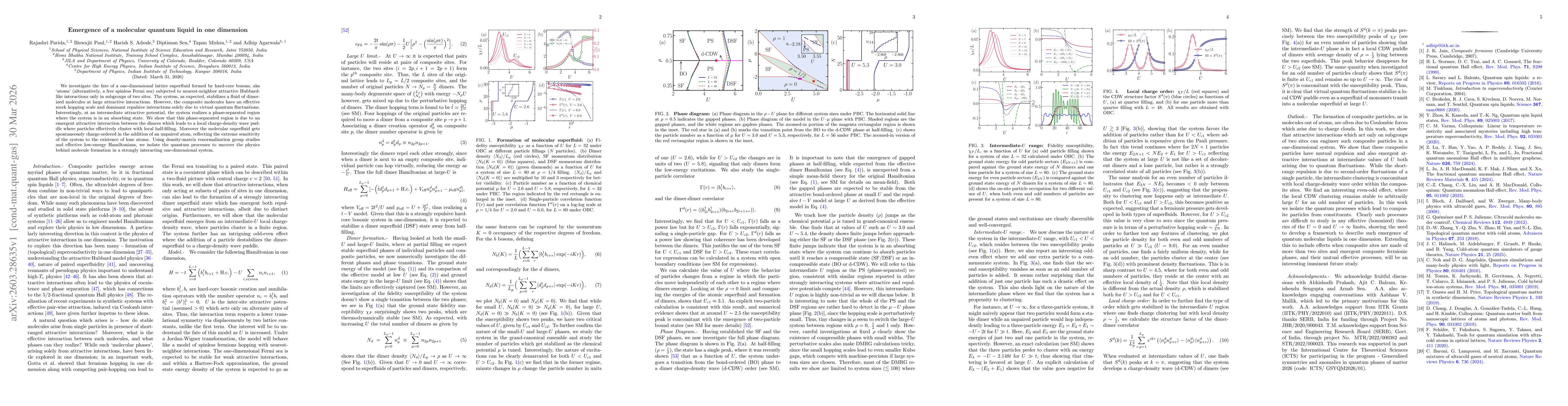 Thumbnail for Emergence of a molecular quantum liquid in one dimension