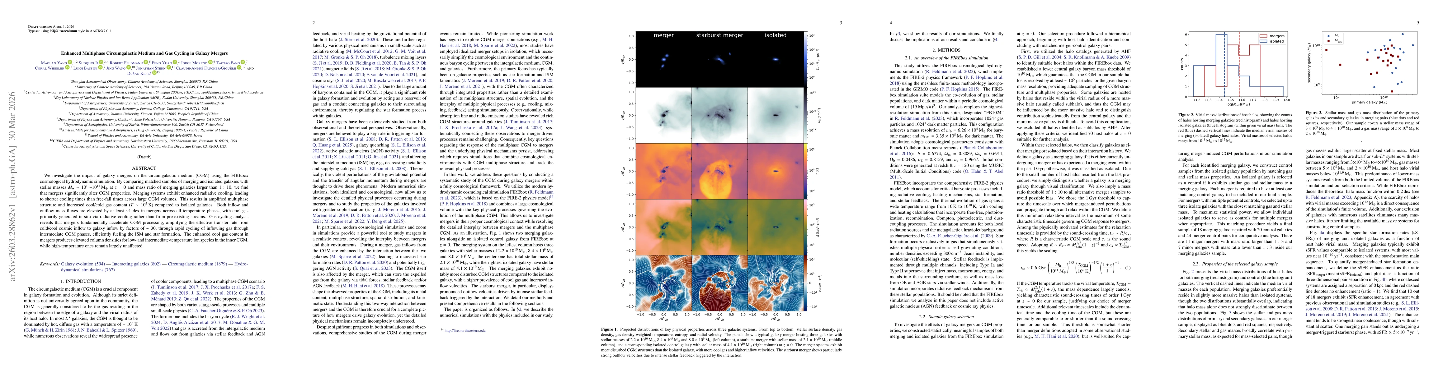 Thumbnail for Enhanced Multiphase Circumgalactic Medium and Gas Cycling in Galaxy Mergers