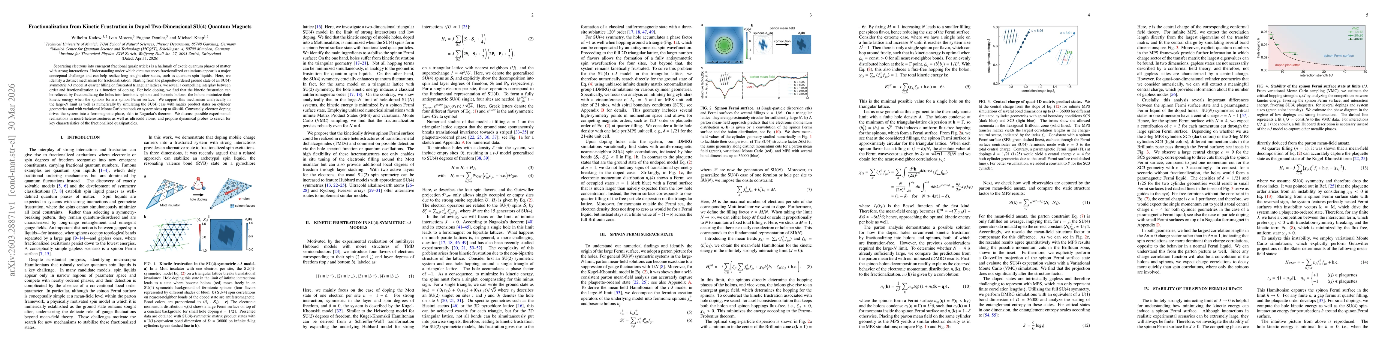 Thumbnail for Fractionalization from Kinetic Frustration in Doped Two-Dimensional SU(4) Quantum Magnets