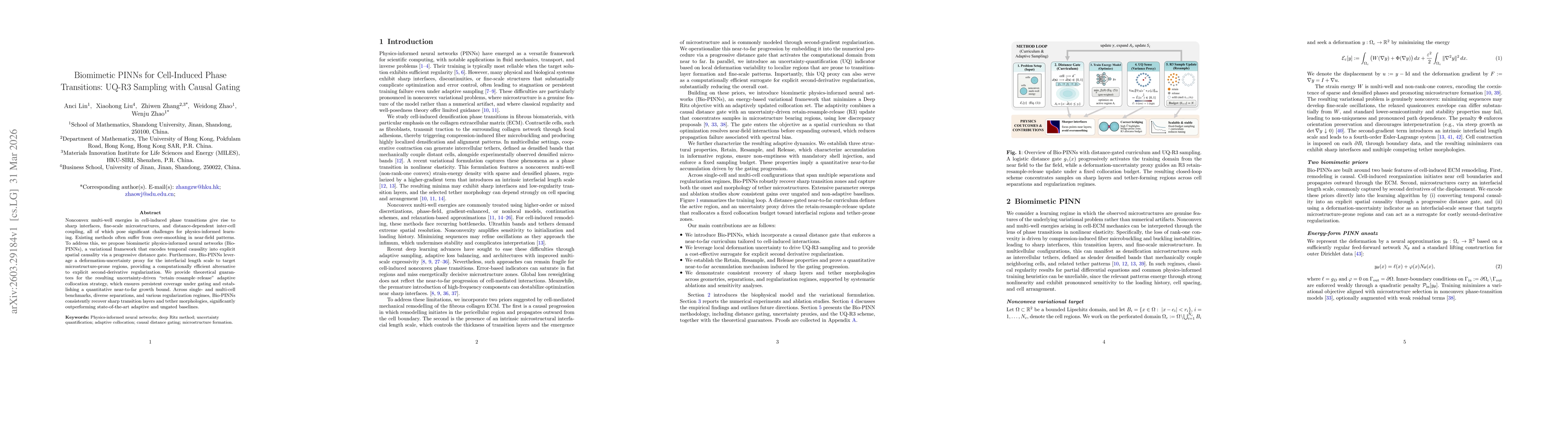 Thumbnail for Biomimetic PINNs for Cell-Induced Phase Transitions: UQ-R3 Sampling with Causal Gating